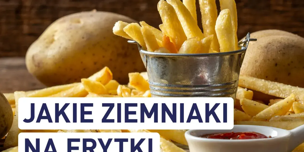 Najlepsze ziemniaki na frytki? Ranking odmian i sekret chrupkości