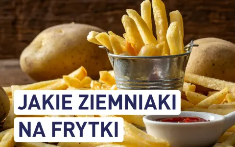 Najlepsze ziemniaki na frytki? Ranking odmian i sekret chrupkości