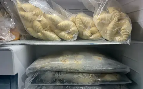 Surowe ciasto drożdżowe w woreczkach w zamrażarce.