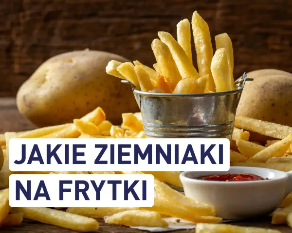 Najlepsze ziemniaki na frytki? Ranking odmian i sekret chrupkości