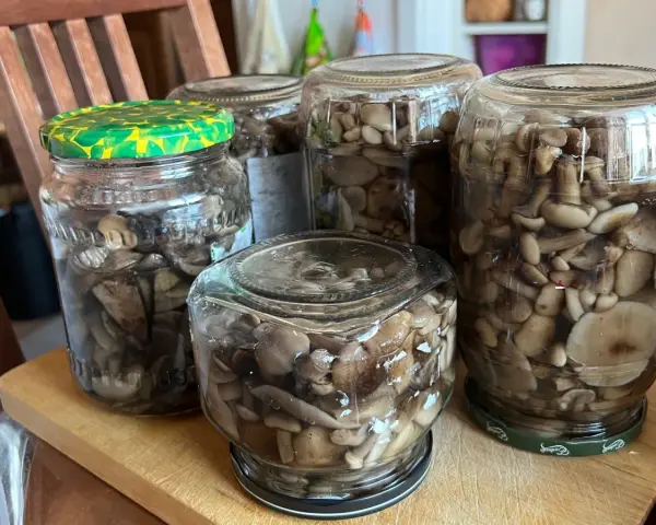 Słoiki z grzybami w zalewie, gotowe do przechowywania. Idealna marynata do grzybów na zimę.